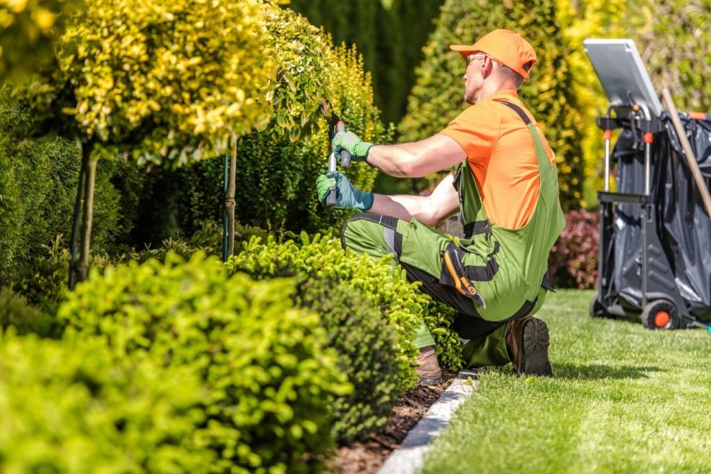 Afgeronde tuin met nieuwe beplanting