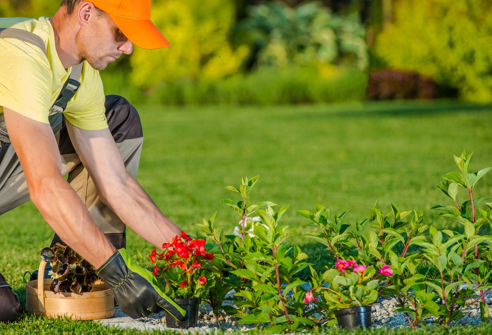 Verzorgde achtertuin met gazon en borders